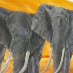 Elefanten, Juli 2016, 170 x 200 cm, Öl auf Leinwand